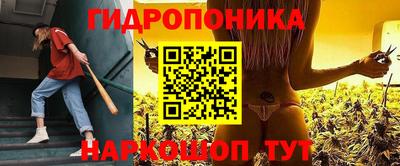твердый Будённовск