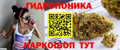 твердый Будённовск