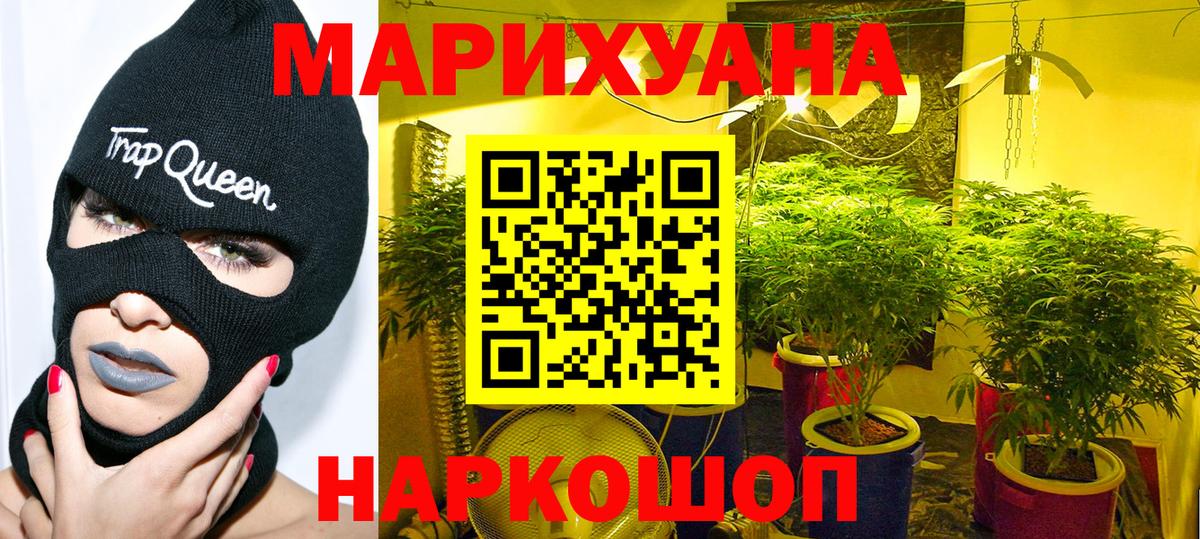 Пятигорск  Бошки Шишки план  Бошки Шишки конопля  Канабис индика  Вход с VPN  МАРИХУАНА гибрид 